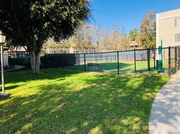 Dog park